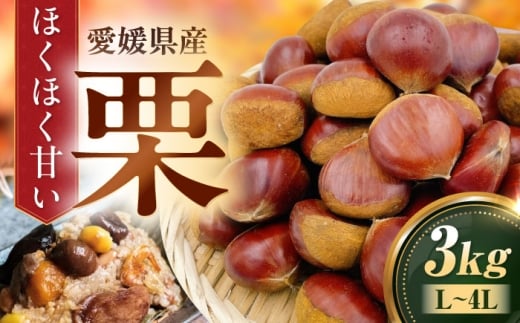 【先行予約】【9月下旬から順次発送】栗3kg（L～4Lサイズ）　愛媛県大洲市/株式会社フジ・アグリフーズ　栗 くり 果物 秋果物 フルーツ [AGBA023]栗 テリーヌ 甘露煮 栗ごはん 栗の渋皮煮 秋の味覚 くり 和菓子 栗ご飯 栗きんとん スイーツ クリ モンブラン マロン