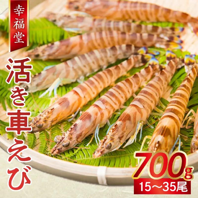 S005-002_【鮮度抜群】幸福堂の活き車えび(700g)〈先行予約〉 / 車エビ 車海老 エビ えび