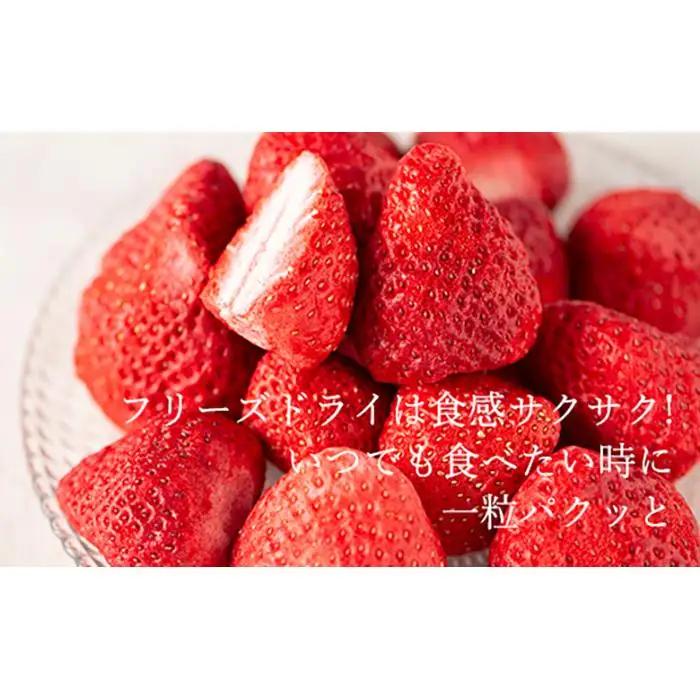 常温で手持ちできるギフト (フリーズドライ＆ジャム 2つ入りセット)