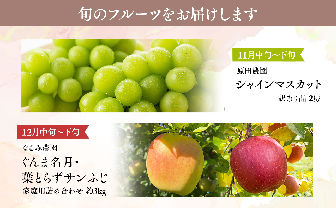 青森フルーツ満喫便　家庭用 りんご＆シャインマスカット 2回定期コース【hi-0999-010】