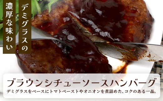 レンチン ハンバーグセットC ≪トマト＆ブラウンシチュー≫ 計10個