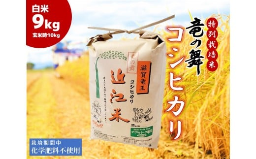 こしひかり 白米 9kg  2025年産 竜の舞 化学肥料不使用 特別栽培米 玄米 時容量 10kg 国産 安心 安全 近江米 米 お米 白米 お弁当 玄米 産地直送 滋賀県 竜王町 送料無料