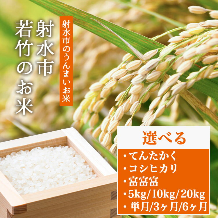 【ふるさと納税】＼選べる品種・内容量・配送回数／【R8年度産米 新米予約】人気のブランド米 コシヒカリ 富富富 てんたかく 「若竹のお米」 5kg 10kg 20kg 【精米】｜米 新米 先行予約 令和8年産米 ブランド米 銘柄米 こめ 5キロ 10キロ 20キロ 白米 先行予約 送料無料