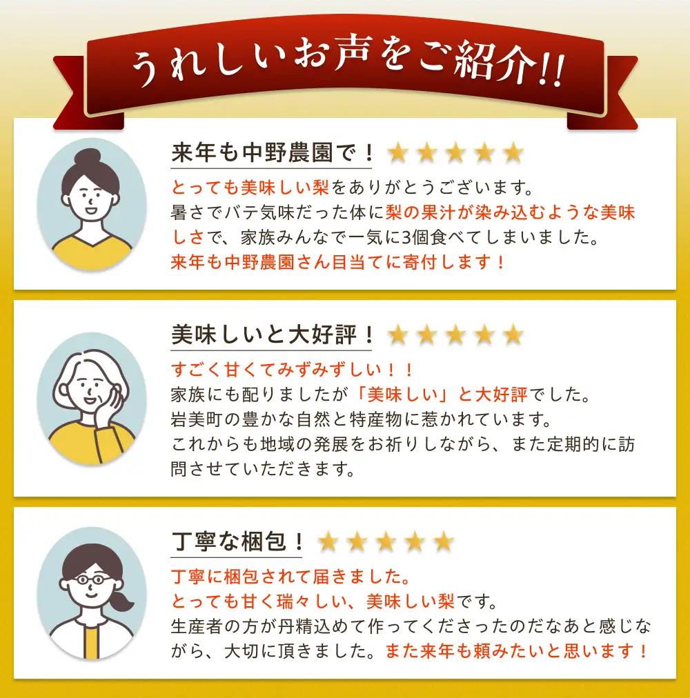 中野農園 梨 ”王秋梨” 5kg箱｜鳥取 岩美 梨 なし ナシ※お届けは2026年11月以降【41017】