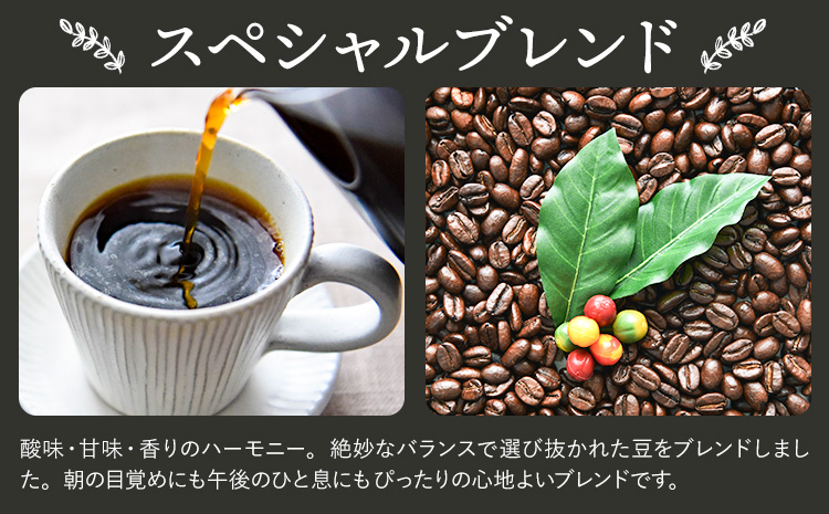 コーヒーギフト ブルマンブレンド 200g スペシャルブレンド 200g 中挽き タウンコーヒー《30日以内に出荷予定(土日祝除く)》和歌山県 岩出市 コーヒー 珈琲 ブレンド カフェイン