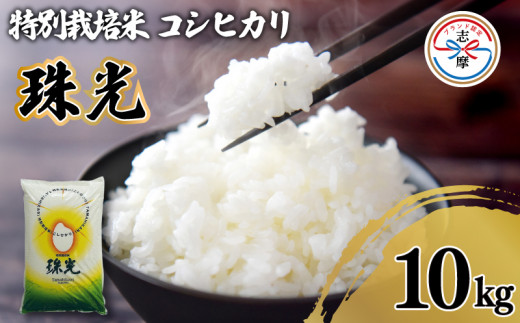 令和7年産 コシヒカリ 10kg 特別栽培米 「珠光」 ブランド米 国産 新米 米 白米 精米 コシヒカリ お米 10キロ ご飯 朝食 昼食 夕食 お取り寄せ 伊勢 志摩 三重県 28000円 2万8000円