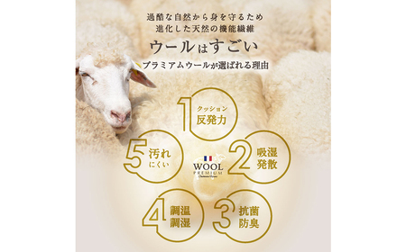 羊毛 掛け布団 シングルサイズ ウール100% 布団