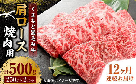 【12回定期便】くまもと黒毛和牛 焼肉用 肩ロース 500g（250g×2pc）【馬刺しの郷 民守】 熊本県産 九州産 和牛 お肉 肉 バラ 黒毛和牛 熊本肩ロース 肩ロース 焼き肉 焼肉 黒毛和牛定