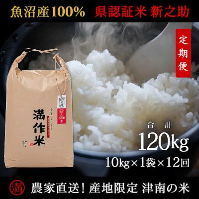 ふるさと納税 津南町 【毎月定期便】農家直送【特栽魚沼産新之助 精米 合計120kg】10kg(10kg×1袋 )全12回