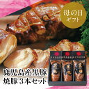 【ふるさと納税】【母の日ギフト】【鹿児島県産】黒豚の炭焼き焼豚3本セット 焼豚 焼き豚 チャーシュー 黒豚 煮豚 チャーハン 丼 ごはん グルメ 南さつま市 贈り物 ギフト 贈答用 送料無料
