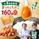 【ふるさと納税】【3回定期便】家族のために選びたい「 まつもとたまご 」60個＜松本養鶏場＞[CCD006] 長崎 西海 卵 生卵 新鮮 卵かけごはん 安全 安心 美味しい こだわり 少数飼い 定期 Lサイズ 赤玉