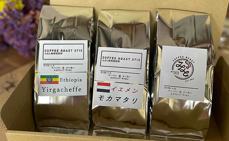 コーヒー モカ 3種セット イルガチャフィ シダモ マタリ 600g (200g×3袋) COFFEE ROAST 3710みなと 珈琲焙煎所 コーヒー豆 ブレンド コーヒー 珈琲 飲み物 飲料 ブレ