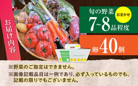 【数量限定】新鮮 卵 と 旬の 野菜 セット (野菜7-8品程度＋40個)  ／  たまご 生卵 タマゴ 詰合せ セット 熊本県 特産品 【有限会社さんふれあ】[BHAK002]