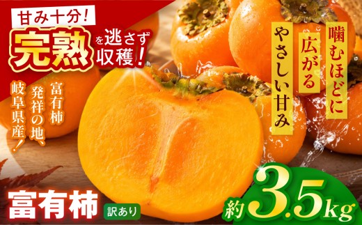 【訳あり品】先行予約 令和8年11月中旬順次発送 富有柿 ( 12 ~ 14個 ／ 3.5kg ) 1箱 |【お得にたっぷり楽しむ】 甘みと食感を存分に味わえる 柿 富有柿 フルーツ 果物 完熟 国産 季節の果物 家庭用 自宅用 訳 あり わけあり 加工用 料理用 大容量 岐阜県 本巣郡 北方町
