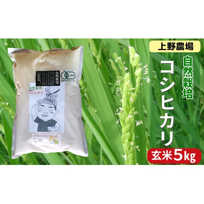 上野農場 自然栽培コシヒカリ 玄米5kg お米 こしひかり 米 玄米 新潟市