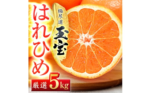 ＜愛媛名産＞玉宝はれひめ　5kg＜C64-71＞【1621813】 YWTY060
