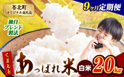 【9ヶ月定期便】熊本県産 くまもとあっぱれ米 白米 ブレンド米 20kg 熊本県産 ふるさと納税  精米 米 こめ ふるさとのうぜい コメ お米 おこめ《1月から出荷開始》