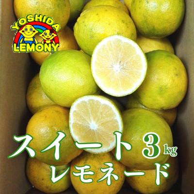 ふるさと納税 宇城市 先行予約 レモン 食べるレモンスイートレモネード 3kg