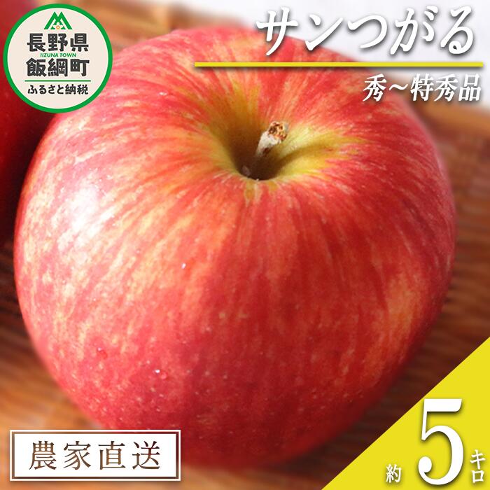 【ふるさと納税】 りんご サンつがる 秀 〜 特秀 5kg マルハ農園 沖縄県への配送不可 令和7年度収穫分 エコファーマー認定 長野県 飯綱町 〔 信州 果物 フルーツ リンゴ 林檎 長野 18000円 予約 農家直送 〕発送時期：2025年9月上旬〜2025年9月下旬