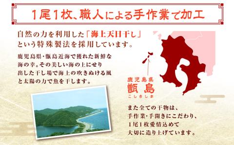 Z-888 甑島の干物 4種詰め合わせ Aセット (きびなご・あじ・かます) 干物 セット 魚 海の幸 きびなご あじ かます