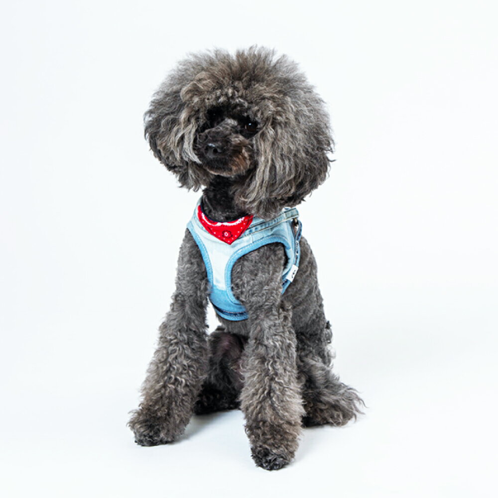 【ふるさと納税】愛犬用ハーネス「デニハーネス」　雑貨・日用品・愛犬用ハーネス・ハーネス・ペット用品・散歩用品