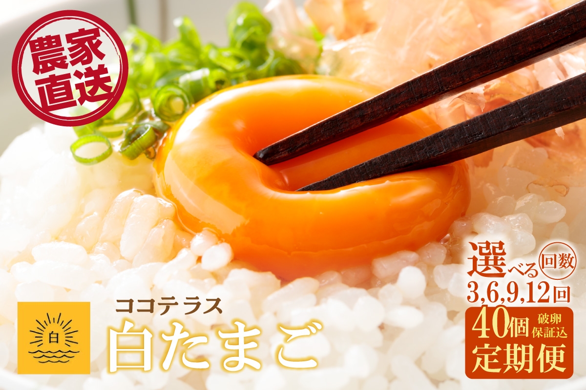 
            【3～12ヵ月定期便】ココテラスの朝日（白たまご）35個 + 5個保証（計40個）選べる定期便回数【JGAP認証】
          
