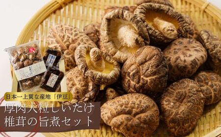 極上の清助（せいすけ）どんこ乾椎茸（しいたけ）と旨煮椎茸2種の詰め合わせセット　（椎茸 しいたけ シイタケ 肉厚椎茸 大粒椎茸 小粒椎茸 椎茸セット 椎茸好き 極上椎茸 乾燥椎茸 伊豆の椎茸 原木椎茸 日本一の椎茸産地 椎茸品評会 椎茸 旨煮椎茸）