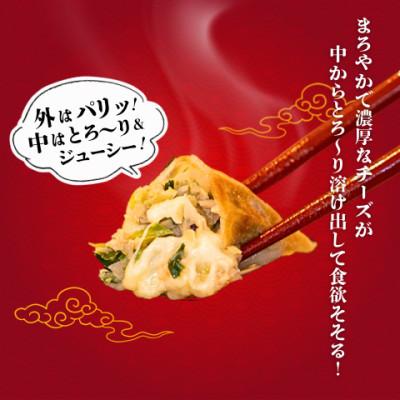 ふるさと納税 宇都宮市 宇都宮餃子 運気アップ餃子チーズ鶏餃子90個　保存料不使用 |  | 01