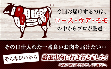 博多和牛しゃぶしゃぶ・すき焼き用 500g《30日以内に出荷予定(土日祝除く)》 博多和牛 株式会社MEAT PLUS 牛肉 しゃぶしゃぶ すき焼き A5ランク のみ使用 厳選部位