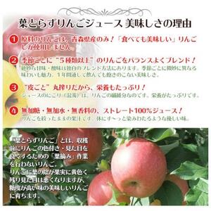 葉とらずりんごジュース　1000g×12本入り【1657569】