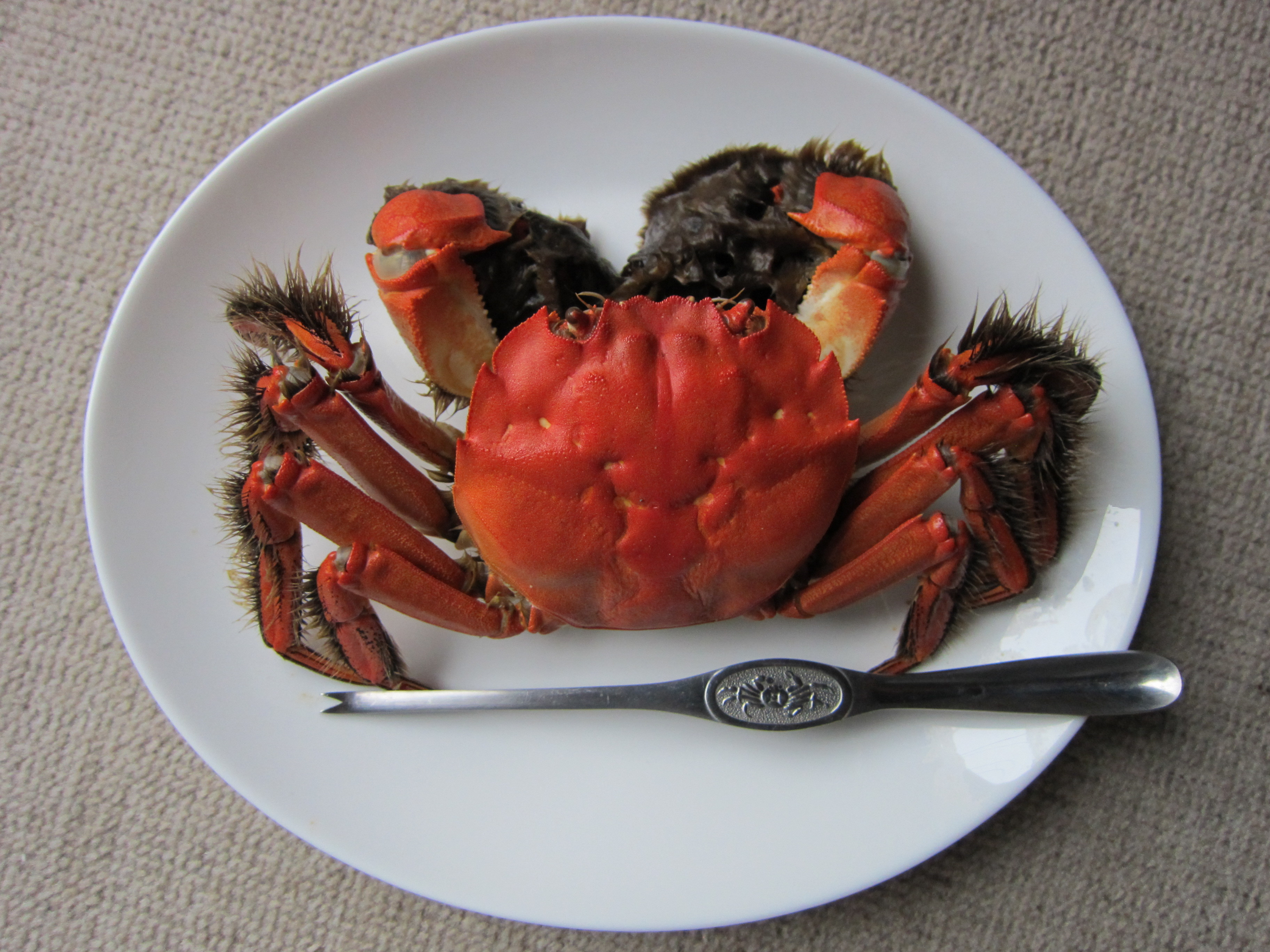 【期間限定】天然活きモクズガニ 約1kg（6～10匹、オス・メス混合）