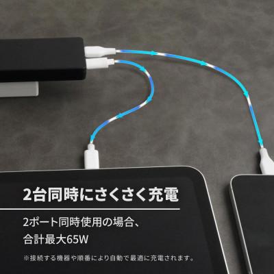 ふるさと納税 海老名市 (オウルテック)薄さ14mm 最大PD65W出力 GaN採用 USB Type-C×2 AC充電器 |  | 03