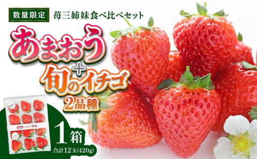 
                  ＜2027年1月～順次発送＞苺三姉妹【あまおう＋旬のイチゴ2品種】食べ比べセット★数量限定★ あまおう いちご 苺 イチゴ フルーツ 果物 くだもの 人気 旬 福岡県産 食べ比べ 採れたて 3品種 セット 冷蔵配送 箱入り 贈答品 プレゼント 贈り物 産地直送 福岡県 八女市
                
