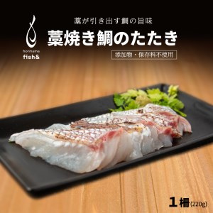 【鯛】 わら焼き 鯛 の たたき 真鯛 鯛 鯛 愛媛県 愛南町 シュートエンタープライズ
