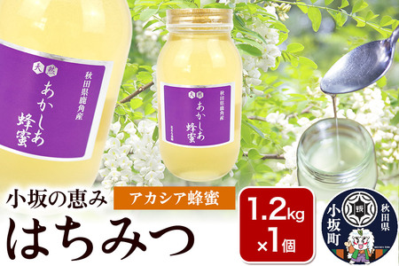 小坂の恵み はちみつ 1.2kg×1個【アカシア蜂蜜】秋田県 小坂町