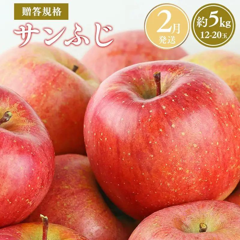 りんご 贈答用 サンふじ 約5kg  青森県平川市産 [hi-0038-009-2]