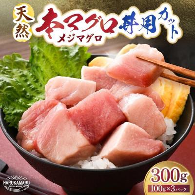 ふるさと納税 美浜町 若狭天然本まぐろ (メジマグロ) 丼用カット300g(100g×3)