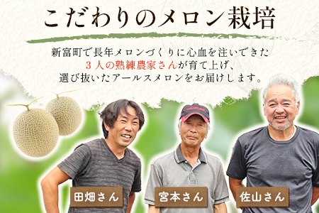 ＜数量限定＞しんとみアールスメロン 2L2玉 計3kg以上 先行予約 国産 フルーツ 果物 宮崎県産 ※2026年5月～7月の期間内に出荷【B520-02】