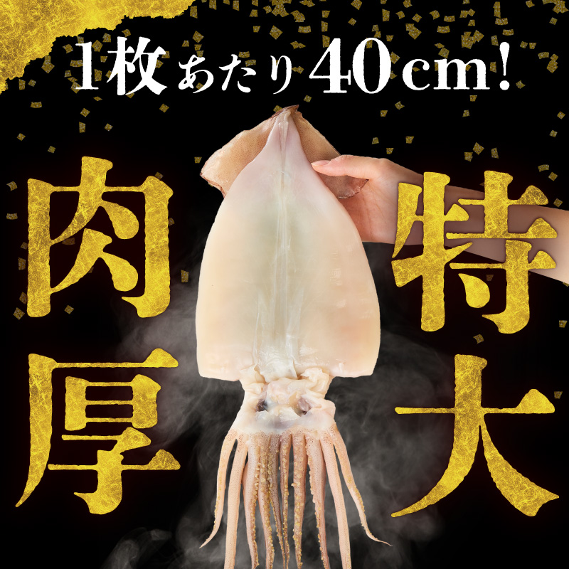 函館産 特大真いか 一夜干し 2枚セット_HD010-024