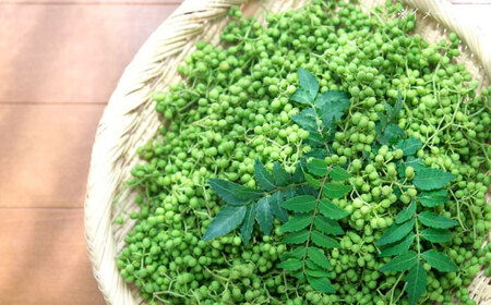 【全6回定期便】ちりめん 甚ごろうのちりめん山椒 1袋 （60g×1袋） 広島県福山市/甚ごろう 山椒 ちりめん じゃこ ちりめんじゃこ ご飯のお供 和食 惣菜 ギフト[BAEC060]