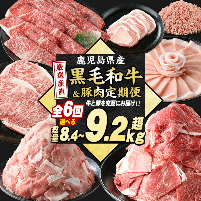 【ふるさと納税】＜定期便全6回＞黒毛和牛＆豚肉定期便 選べる 8.4kg超 9.2kg超 赤身 モモ ロース 豚 ミンチ ロースかつ 豚肉 牛肉 切り落とし サーロイン 豚ロース しゃぶしゃぶ すき焼き ふるさと納税【スターゼン】starzen-1534
