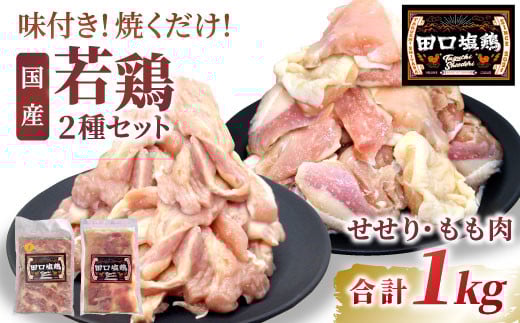 奥三河どり使用！ 田口塩鶏 国産 若鶏味付け肉 2種セット（せせり・もも肉）合計1㎏  もも肉 600g せせり 400g 塩ダレ 味付け肉 鶏肉 鶏 肉 キャンプ バーベキュー 味付け肉 大容量 手軽 焼くだけ 地鶏 焼肉 焼き鳥　-171