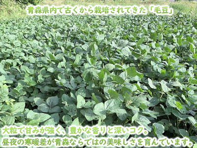 【 2026年産 数量限定 】青森の定番 幻の毛豆 約1kg【 9月 クール便発送 】青森県鰺ヶ沢町産 ※オンライン決済のみ 野菜 枝豆 大粒 甘みが強い 豊かな香り コク ほっくり おつまみ 料理 