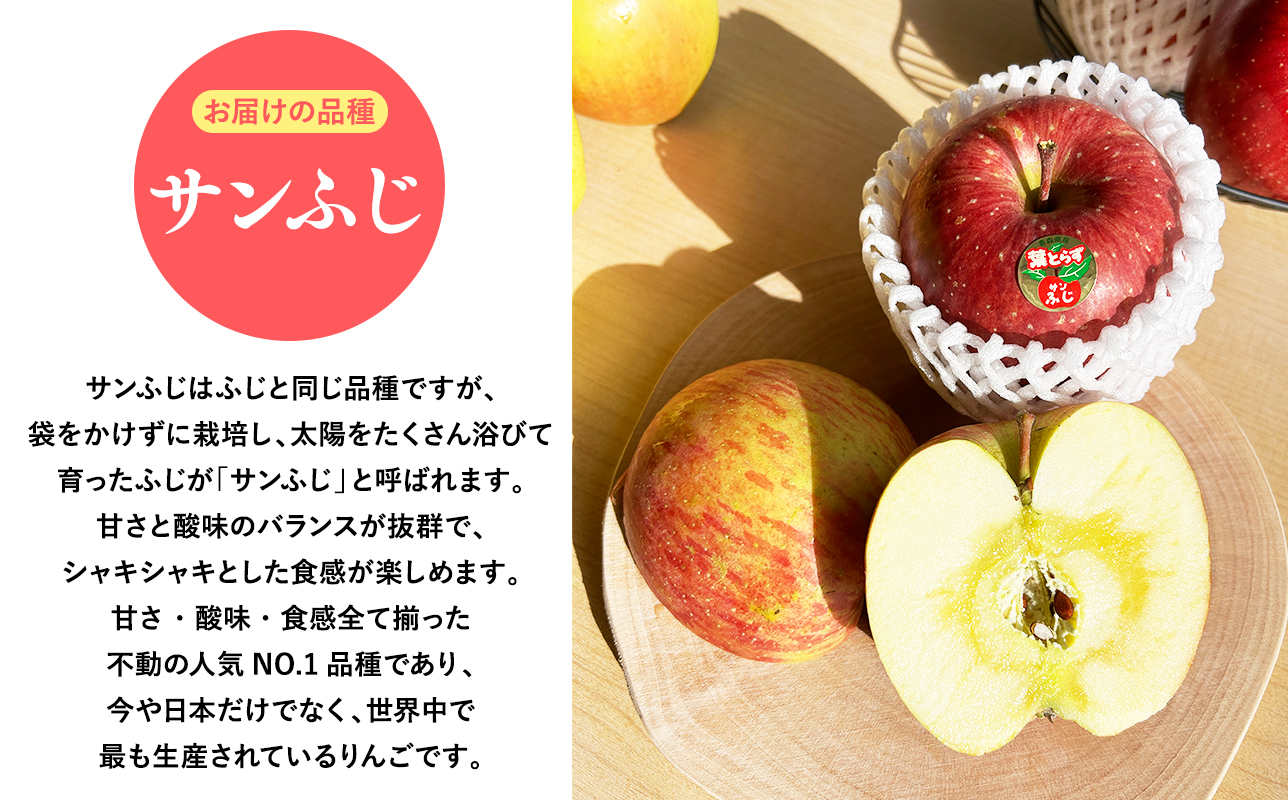 2025年産１１月〜４月発送　【訳あり】家庭用葉とらずサンふじ5ｋｇ　【そと川りんご園・１１月・１２月・１月・２月・３月・４月・青森県産・平川市・りんご・葉とらずサンふじ・5ｋｇ・訳あり・家庭用】