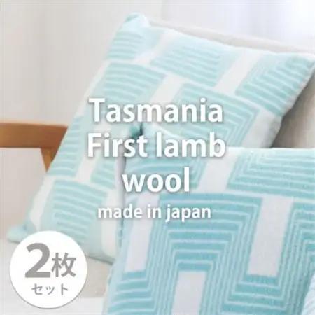【2枚組】洗えるタスマニアラムウール混クッションカバー 45×45cm GR OTW-4545-2P【1555587】