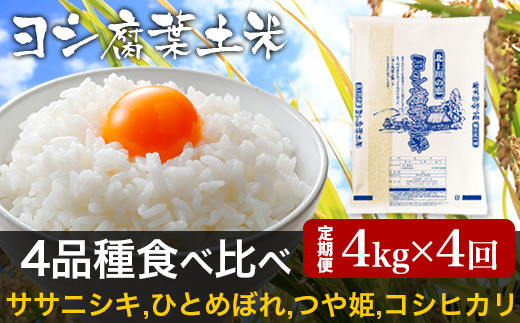 令和6年産＜定期便4回＞ヨシ腐葉土米 16kg【毎月4kg 一種類ずつお届け】ササニシキ ひとめぼれ つや姫 コシヒカリ食べ比べ