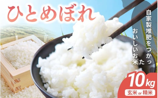 宮城県涌谷町産 ひとめぼれ 10kg＜玄米＞※2025年10月中旬より順次発送予定