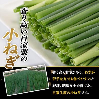 ふるさと納税 宇佐市 ねぎ味噌 (グリーン×3個)ねぎねぎ団 調味料【110700101】【葱屋おおくぼ】 |  | 01