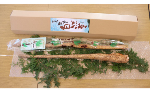 
川内村高田島産 天空の「自然薯」（野生種） じねんじょ 山菜 健康食 1.5kg
