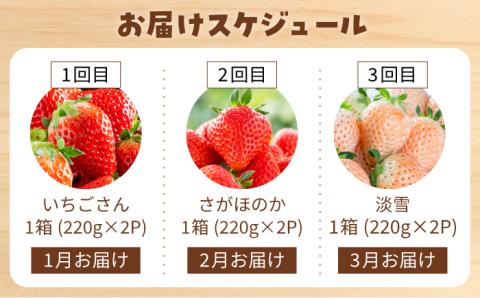 【先行予約】【全3回定期便】いちご 3品種 食べ比べ 定期便【岸川農園】 [IAP022]